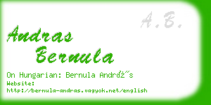 andras bernula business card